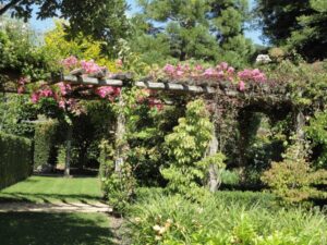 En mai et juin, 54 jardins ouvriront leurs portes aux amoureux de nature